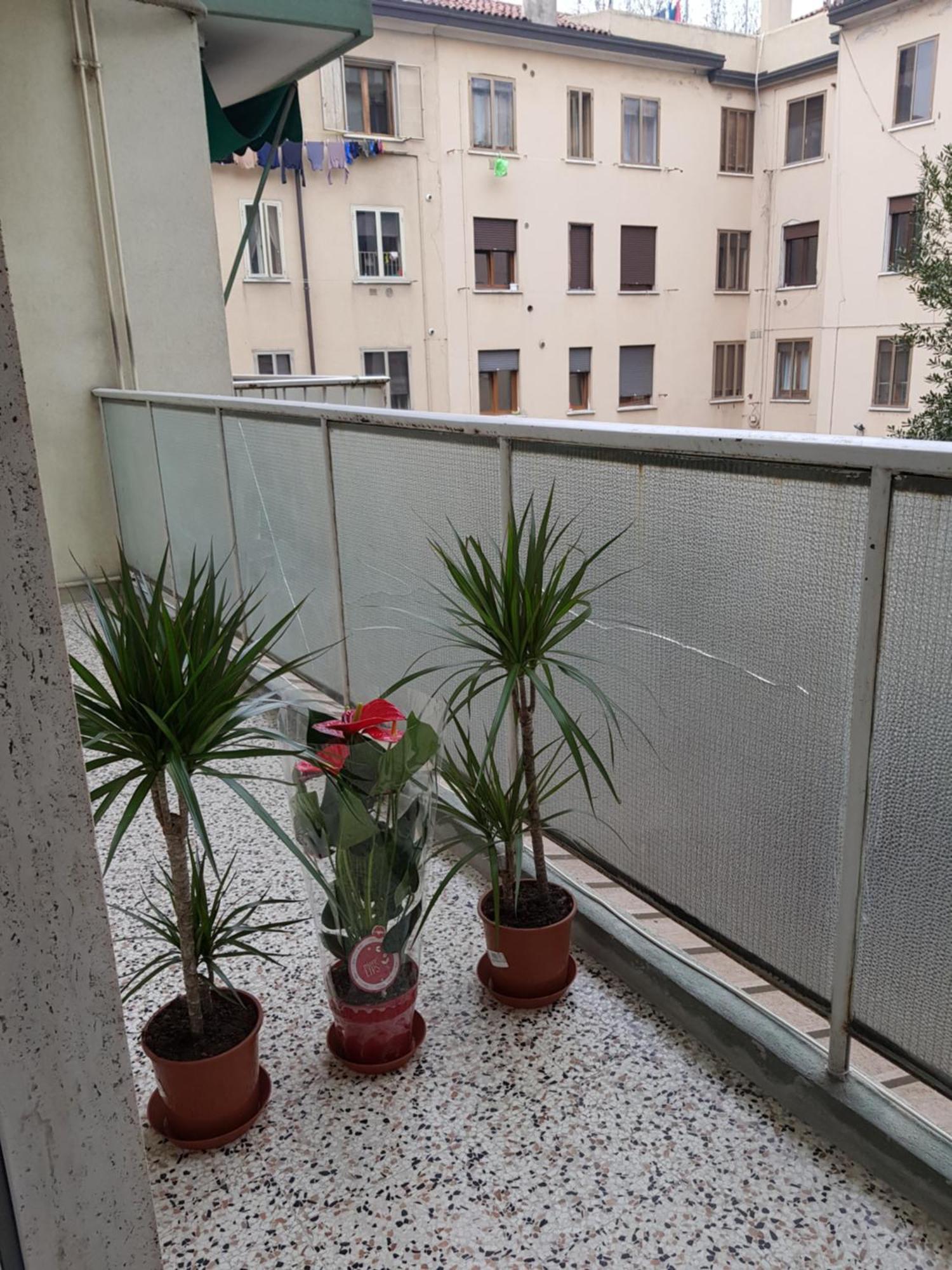 Venice Bnb Mestre Dış mekan fotoğraf
